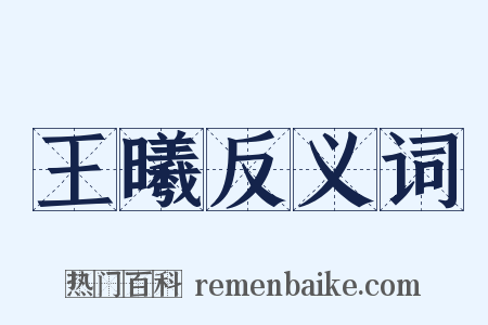 王曦反义词是什么意思的图片